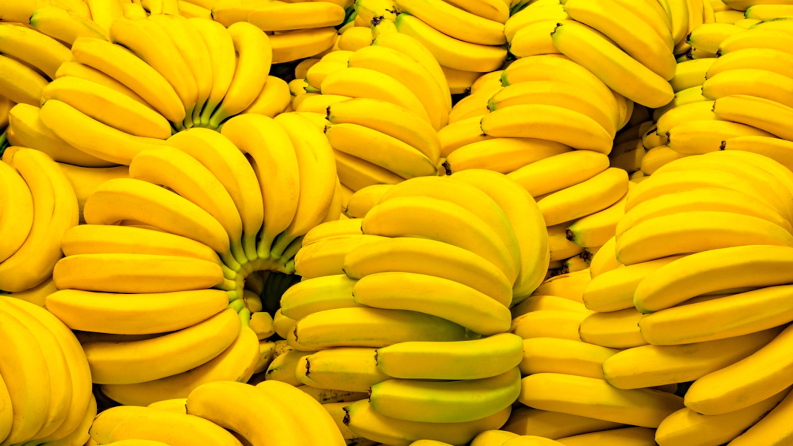 banana-banner